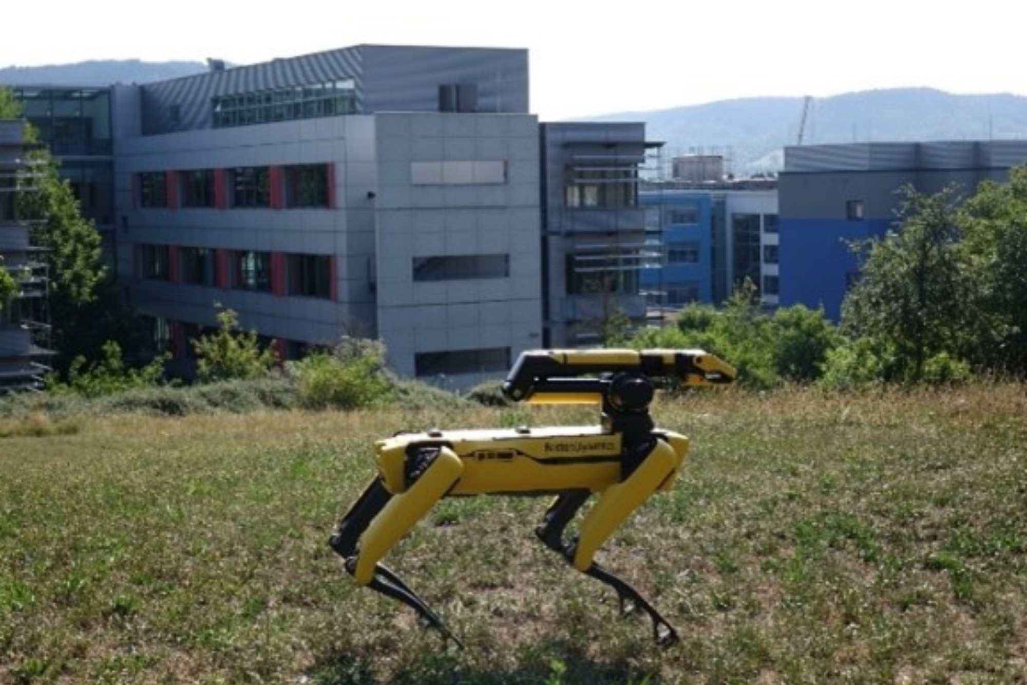 A walking robot in open terrain