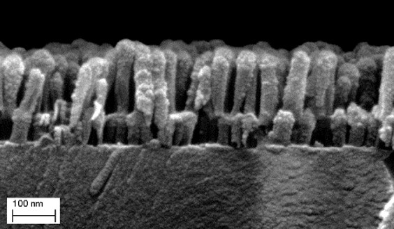 Scanning electron image of a nanostructure. 